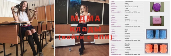 прущие грибы Няндома