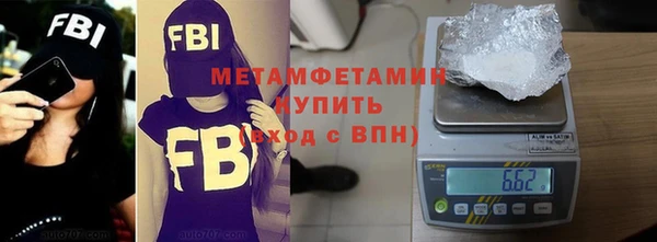 прущие грибы Няндома