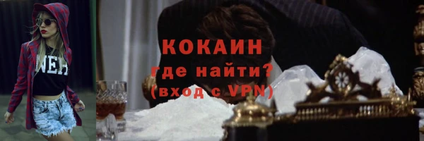 мяу мяу мука Новозыбков