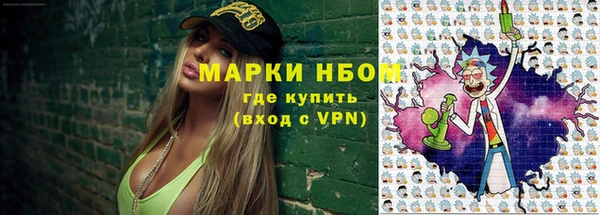 прущие грибы Няндома