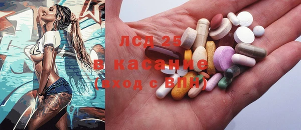 прущие грибы Няндома