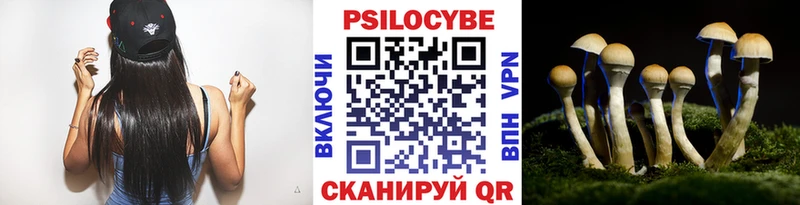 Псилоцибиновые грибы ЛСД  Ряжск 